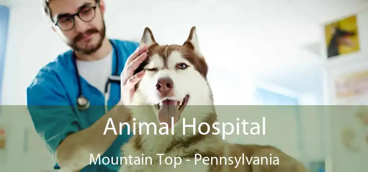 Animal Hospital Mountain Top - Pennsylvania