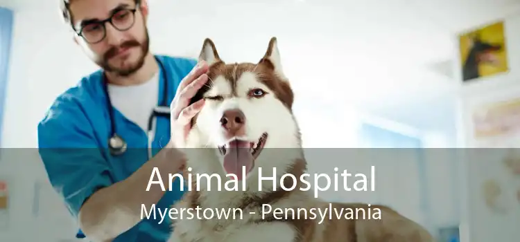 Animal Hospital Myerstown - Pennsylvania