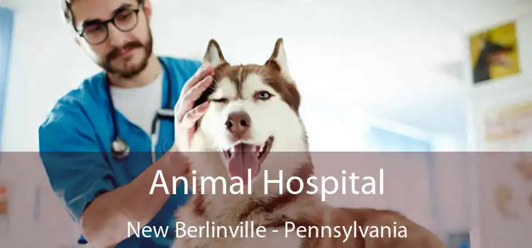 Animal Hospital New Berlinville - Pennsylvania