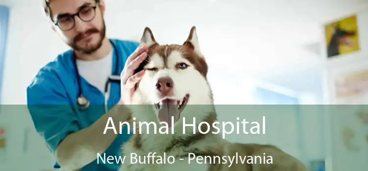 Animal Hospital New Buffalo - Pennsylvania