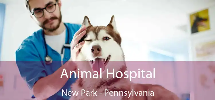 Animal Hospital New Park - Pennsylvania