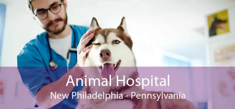 Animal Hospital New Philadelphia - Pennsylvania