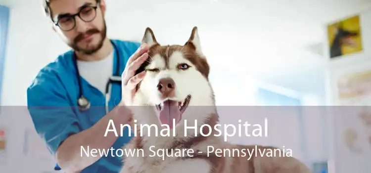 Animal Hospital Newtown Square - Pennsylvania