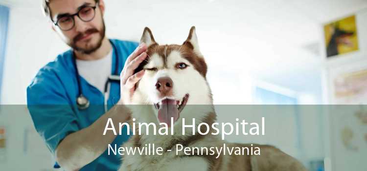 Animal Hospital Newville - Pennsylvania