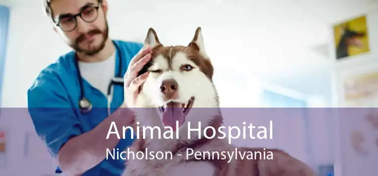 Animal Hospital Nicholson - Pennsylvania