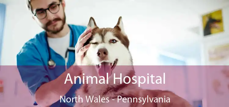 Animal Hospital North Wales - Pennsylvania