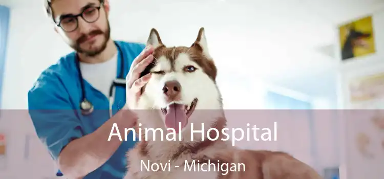 Animal Hospital Novi - Michigan