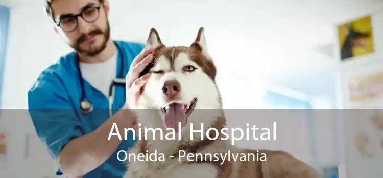 Animal Hospital Oneida - Pennsylvania