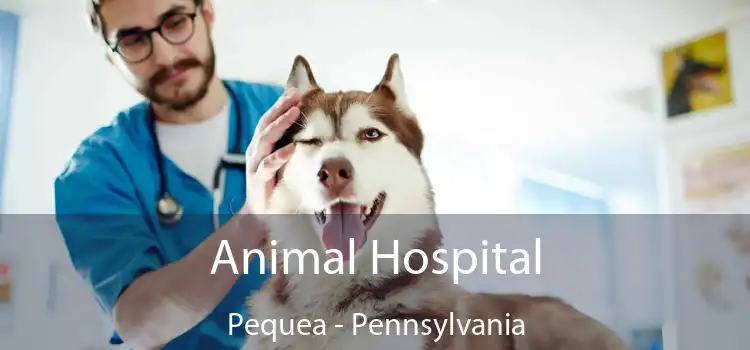 Animal Hospital Pequea - Pennsylvania