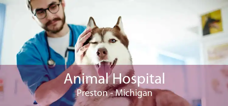 Animal Hospital Preston - Michigan