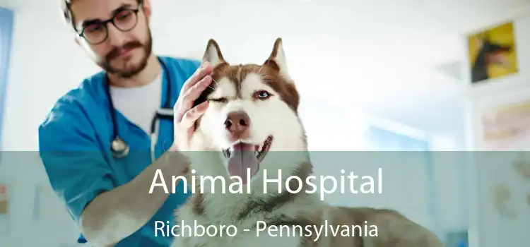 Animal Hospital Richboro - Pennsylvania