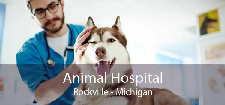 Animal Hospital Rockville - Michigan