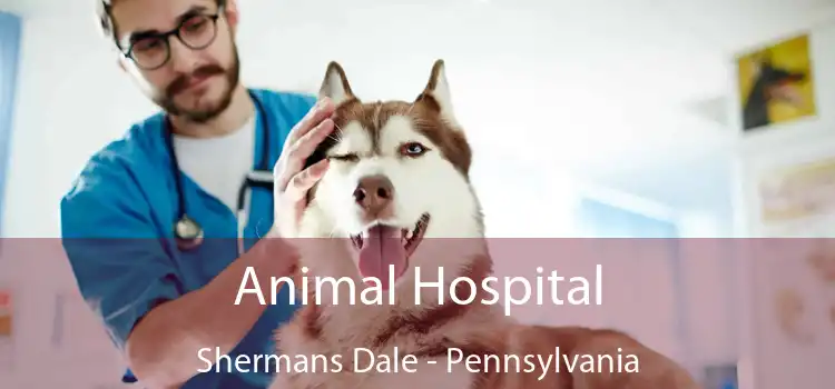 Animal Hospital Shermans Dale - Pennsylvania