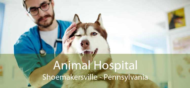 Animal Hospital Shoemakersville - Pennsylvania