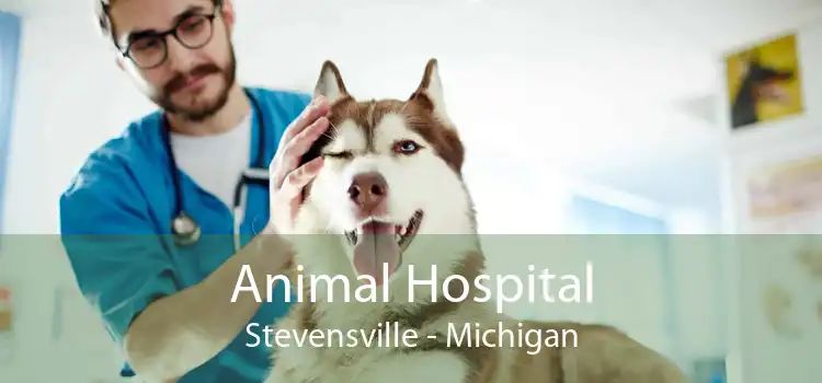 Animal Hospital Stevensville - Michigan