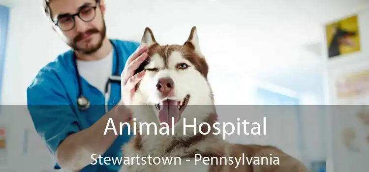 Animal Hospital Stewartstown - Pennsylvania
