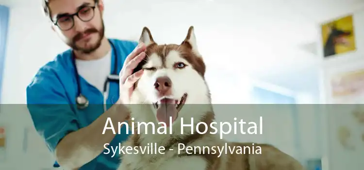 Animal Hospital Sykesville - Pennsylvania