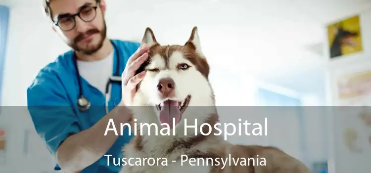 Animal Hospital Tuscarora - Pennsylvania