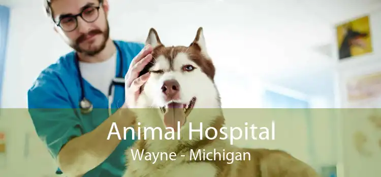 Animal Hospital Wayne - Michigan