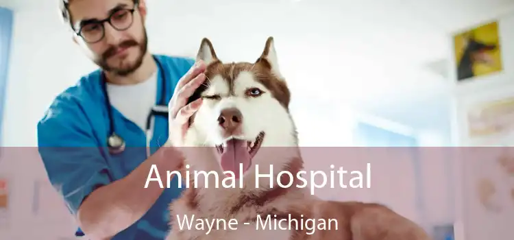 Animal Hospital Wayne - Michigan