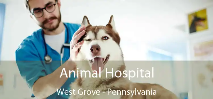 Animal Hospital West Grove - Pennsylvania