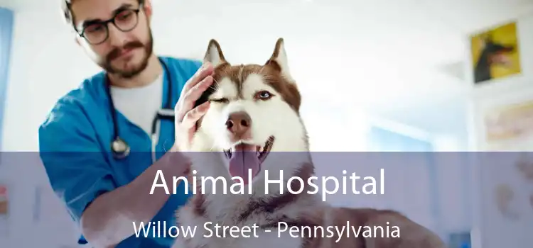 Animal Hospital Willow Street - Pennsylvania