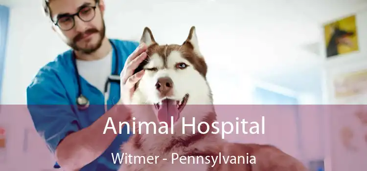 Animal Hospital Witmer - Pennsylvania