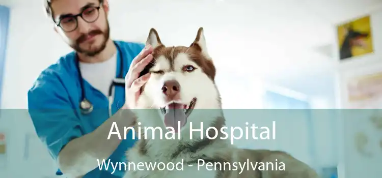 Animal Hospital Wynnewood - Pennsylvania