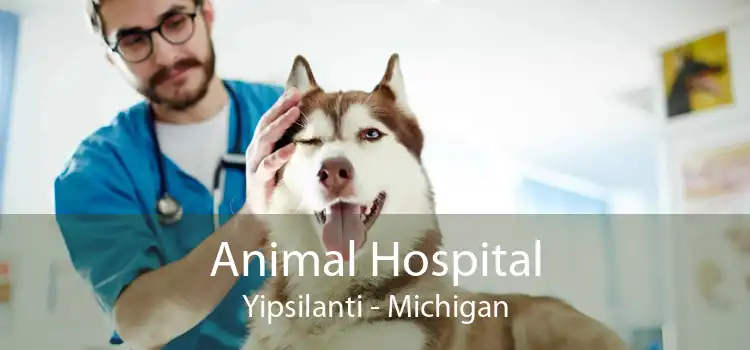 Animal Hospital Yipsilanti - Michigan