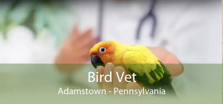 Bird Vet Adamstown - Pennsylvania