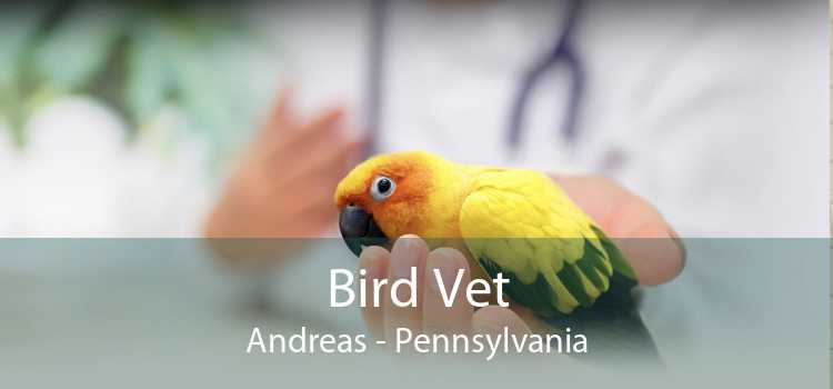 Bird Vet Andreas - Pennsylvania
