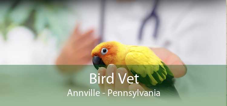 Bird Vet Annville - Pennsylvania
