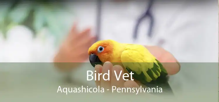 Bird Vet Aquashicola - Pennsylvania