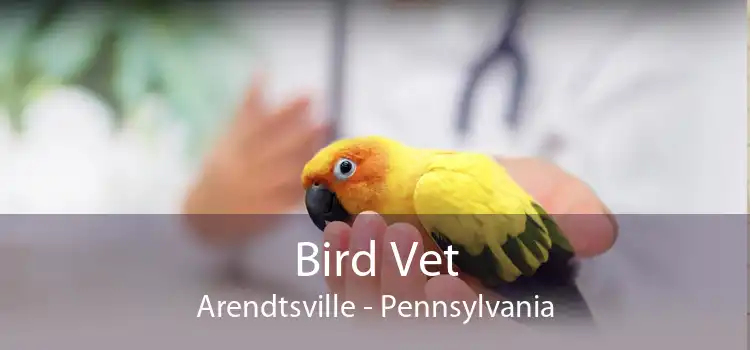 Bird Vet Arendtsville - Pennsylvania