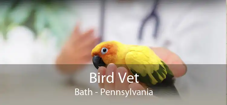 Bird Vet Bath - Pennsylvania