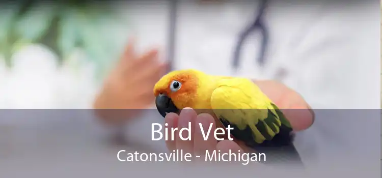 Bird Vet Catonsville - Michigan