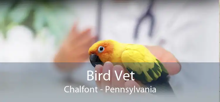 Bird Vet Chalfont - Emergency Exotic Avian Vet Near Me