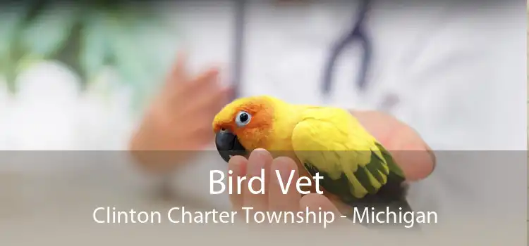 Bird Vet Clinton Charter Township - Michigan