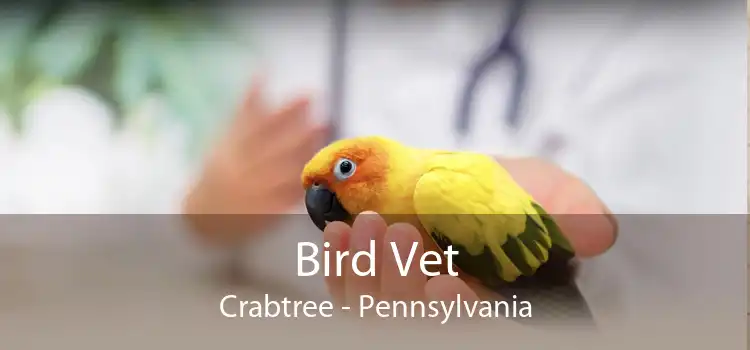 Bird Vet Crabtree - Pennsylvania