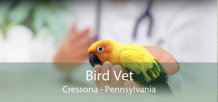 Bird Vet Cressona - Pennsylvania