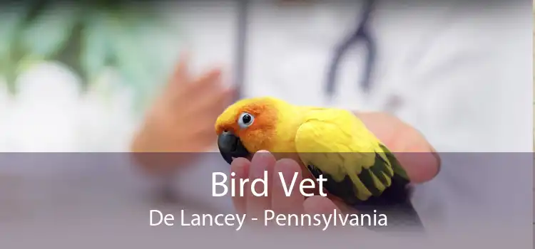 Bird Vet De Lancey - Pennsylvania