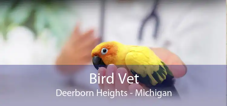 Bird Vet Deerborn Heights - Michigan
