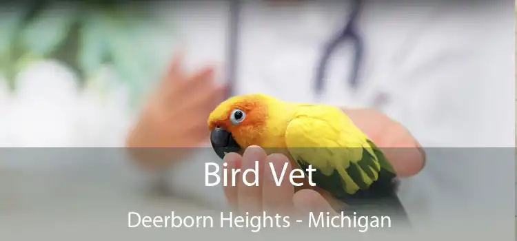 Bird Vet Deerborn Heights - Michigan