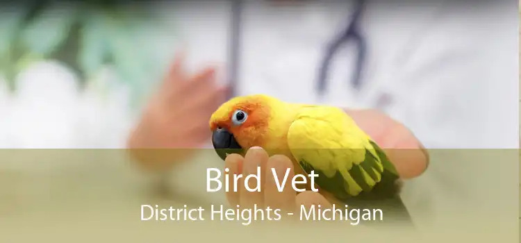 Bird Vet District Heights - Michigan