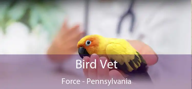 Bird Vet Force - Pennsylvania