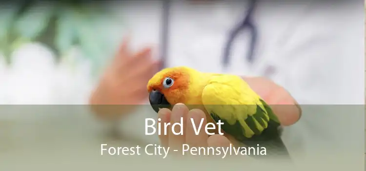 Bird Vet Forest City - Pennsylvania