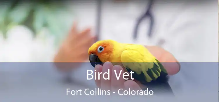 Bird Vet Fort Collins - Colorado