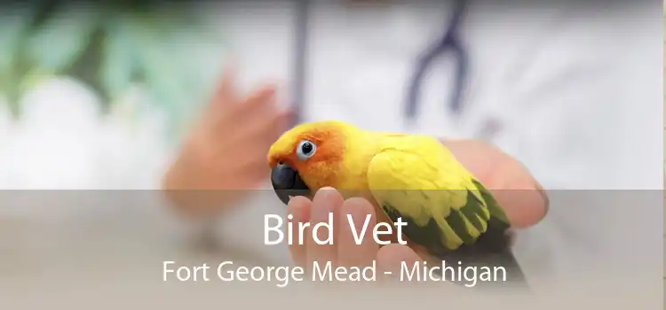 Bird Vet Fort George Mead - Michigan