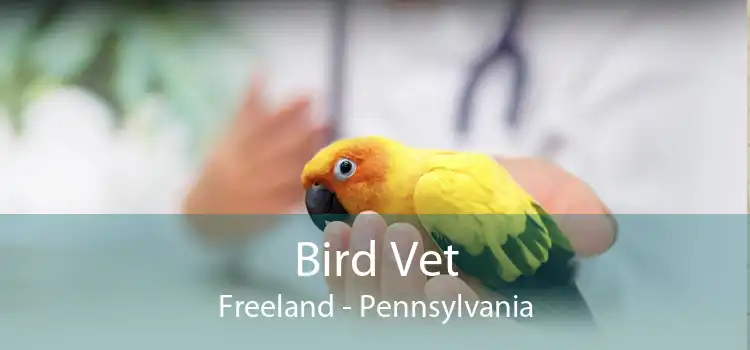 Bird Vet Freeland - Pennsylvania