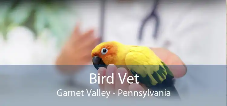 Bird Vet Garnet Valley - Pennsylvania